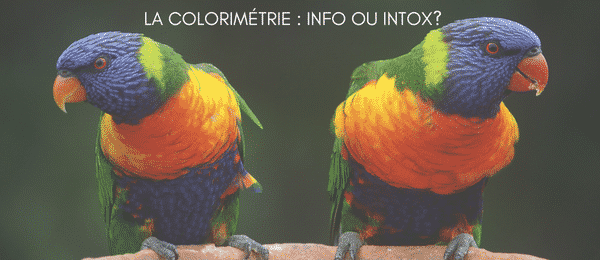 Conseil en image - article de blog de Relooking & Queen. La colorimétrie, info ou intox?